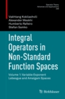 Integral Operators in Non-Standard Function Spaces : Volume 1: Variable Exponent Lebesgue and Amalgam Spaces - eBook