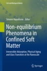 Non-equilibrium Phenomena in Confined Soft Matter : Irreversible Adsorption, Physical Aging and Glass Transition at the Nanoscale - eBook
