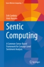 Sentic Computing : A Common-Sense-Based Framework for Concept-Level Sentiment Analysis - eBook