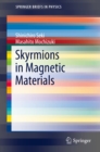 Skyrmions in Magnetic Materials - eBook