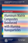 Aluminum Matrix Composites Reinforced with Alumina Nanoparticles - Book