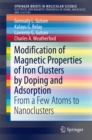 Modification of Magnetic Properties of Iron Clusters by Doping and Adsorption : From a Few Atoms to Nanoclusters - eBook