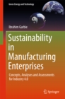 Sustainability in Manufacturing Enterprises : Concepts, Analyses and Assessments for Industry 4.0 - eBook