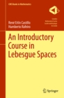An Introductory Course in Lebesgue Spaces - eBook