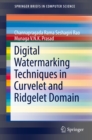 Digital Watermarking Techniques in Curvelet and Ridgelet Domain - eBook