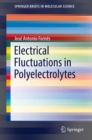 Electrical Fluctuations in Polyelectrolytes - eBook