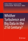 Whither Turbulence and Big Data in the 21st Century? - eBook