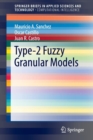 Type-2 Fuzzy Granular Models - Book