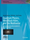 Quantum Physics, Mini Black Holes, and the Multiverse : Debunking Common Misconceptions in Theoretical Physics - eBook