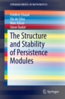 The Structure and Stability of Persistence Modules - eBook
