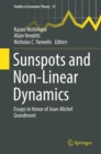 Sunspots and Non-Linear Dynamics : Essays in Honor of Jean-Michel Grandmont - eBook
