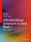 30th International Symposium on Shock Waves 1 : ISSW30 - Volume 1 - eBook
