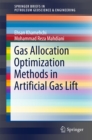 Gas Allocation Optimization Methods in Artificial Gas Lift - eBook