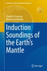 Induction Soundings of the Earth's Mantle - eBook
