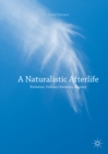 A Naturalistic Afterlife : Evolution, Ordinary Existence, Eternity - eBook
