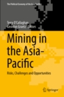 Mining in the Asia-Pacific : Risks, Challenges and Opportunities - eBook