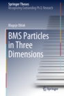 BMS Particles in Three Dimensions - eBook