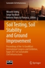 Soil Testing, Soil Stability and Ground Improvement : Proceedings of the 1st GeoMEast International Congress and Exhibition, Egypt 2017 on Sustainable Civil Infrastructures - eBook