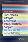 The Economic Lifecycle, Gender and Intergenerational Support : National Transfer Accounts for Italy - eBook