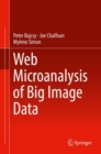 Web Microanalysis of Big Image Data - eBook