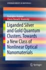 Liganded silver and gold quantum clusters. Towards a new class of nonlinear optical nanomaterials - eBook