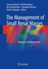 The Management of Small Renal Masses : Diagnosis and Management - eBook