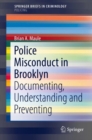 Police Misconduct in Brooklyn : Documenting, Understanding and Preventing - eBook