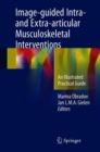 Image-guided Intra- and Extra-articular Musculoskeletal Interventions : An Illustrated Practical Guide - Book