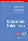 Combinatorial Matrix Theory - eBook