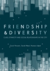 Friendship and Diversity : Class, Ethnicity and Social Relationships in the City - eBook