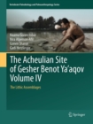 The Acheulian Site of Gesher Benot Ya'aqov Volume IV : The Lithic Assemblages - eBook