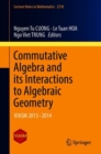Commutative Algebra and its Interactions to Algebraic Geometry : VIASM 2013-2014 - eBook