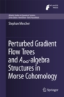 Perturbed Gradient Flow Trees and Ainfinity-algebra Structures in Morse Cohomology - eBook