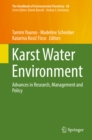 Karst Water Environment : Advances in Research, Management and Policy - eBook