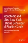 Monotonic and Ultra-Low-Cycle Fatigue Behaviour of Pipeline Steels : Experimental and Numerical Approaches - eBook