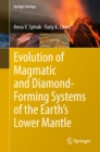 Evolution of Magmatic and Diamond-Forming Systems of the Earth's Lower Mantle - eBook