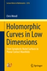 Holomorphic Curves in Low Dimensions : From Symplectic Ruled Surfaces to Planar Contact Manifolds - eBook