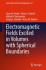 Electromagnetic Fields Excited in Volumes with Spherical Boundaries - eBook