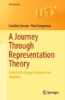 A Journey Through Representation Theory : From Finite Groups to Quivers via Algebras - eBook