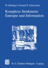 Komplexe Strukturen: Entropie und Information - eBook