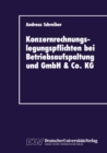 Konzernrechnungslegungspflichten bei Betriebsaufspaltung und GmbH & Co. KG - eBook