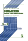 Numerik sehen und verstehen : Ein kombiniertes Lehr- und Arbeitsbuch mit Visualisierungssoftware - eBook