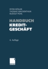 Handbuch Kreditgeschaft - eBook