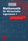 Mathematik fur Wirtschaftsingenieure 1 : Grundlagen, Analysis, Stochastik, Lineare Gleichungssysteme - eBook
