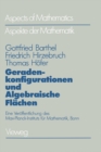 Geradenkonfigurationen und Algebraische Flachen : Eine Veroffentlichung des Max-Planck-Instituts fur Mathematik, Bonn - eBook