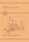 Gasification of Rice Hulls : Theory and Praxis - eBook