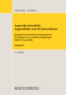 Jugendkriminalitat, Jugendhilfe und Strafverfahren : Sozialwissenschaftlich-kriminologische Grundlagen und rechtliche Regelungen (SGB VIII und JGG) Handbuch - eBook