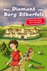 Der Diamant von Burg Silberfels : Entscheide selbst, wie's weitergeht! - eBook