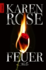 Feuer : Thriller - eBook