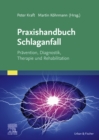 Praxishandbuch Schlaganfall : Pravention, Diagnostik, Therapie und Rehabilitation - eBook